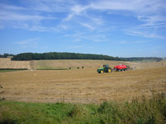 Tractor in field